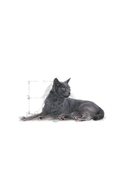 Royal Canin Sterilised Kısırlaştırılmış 7 Yaş Ve Üzeri Kediler Için Kuru Kedi Maması 3.5kg
