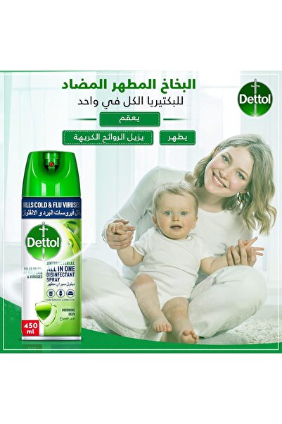 Dettol Antibacterial All in One Disinfectant Spray Effective Germ Protection & Personal Hygiene, Kil