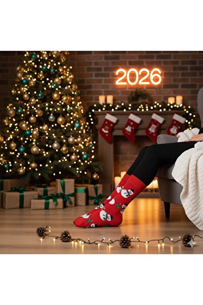 Çorap Kurdu Комплект от 2 новогодишни коледни шарени чорапа