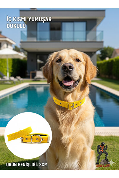 Tasma Market Sarı Içi Yumuşak Dokulu Kolon Köpek Tasması