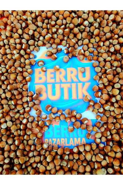 BERRUPAZ Organik Fındık - Doğal Fındık - Kabuklu Giresun Fındığı - 1 Kg