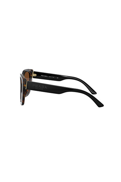 Prada Pr 24XS Rectangular Brown Women's Sunglasses