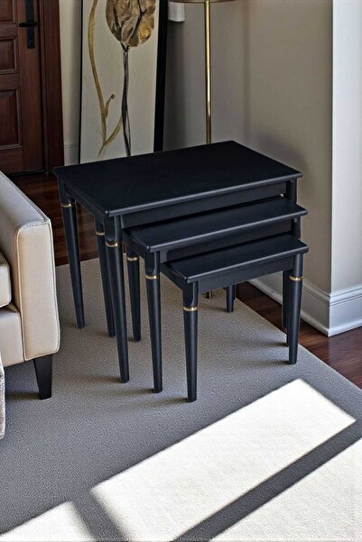 Akabesan Aksesuar Erce Serisi Gold Detaylı Siyah Dekoratif Kayın Ağacından 1....