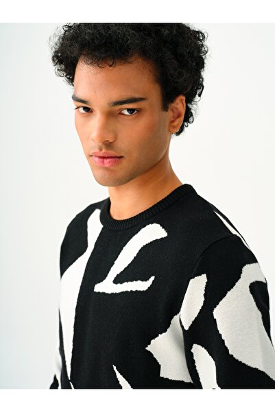 Loft Regular Fit Men's Sweater