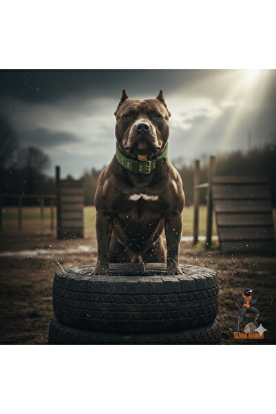 Tasma Market Haki Yumuşak Dokulu Büyük Irk Kolon Köpek Tasması Köpek Boyun Tasması