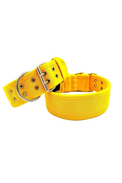 Tasma Market Sarı Yumuşak Dokulu Büyük Irk Köpek Tasması