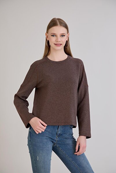 Sortie Women's Crew Neck Regular Fit Brown Basic Glitter Knitwear