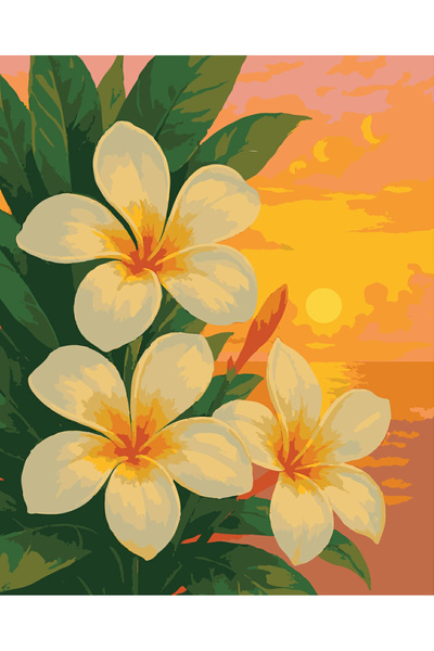 Carmen Sayılarla Boyama Seti - Tropik Akşam