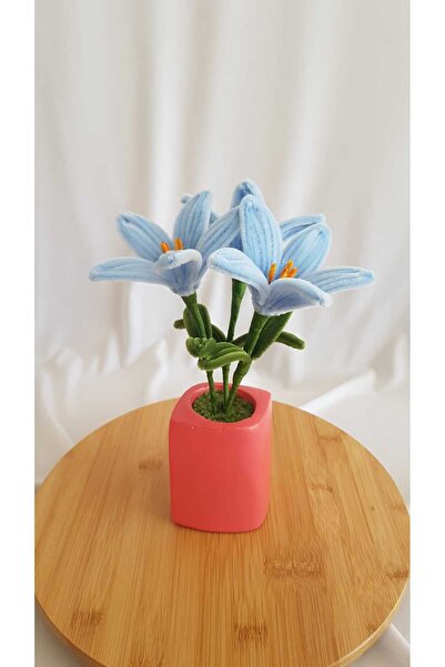 Badem Hediyecilik Zambak Saksı Çiçeği