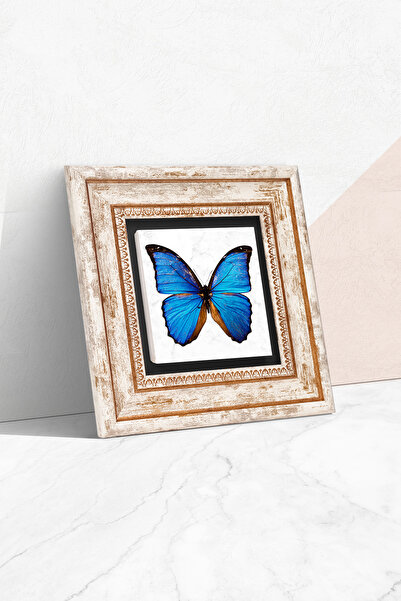 Pinecone Zidna slika sa leptirima u okviru od kamena – Dekorativna moderna um...