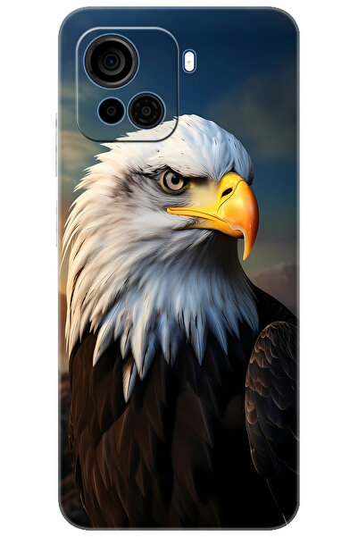 CASPER Via F30 Uyumlu Kılıf Desen Baskılı Silikon Kartal STK:687 CP-67aNJOL