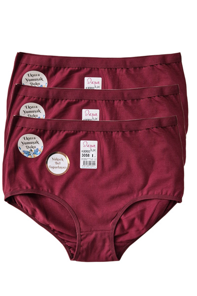 HS İÇ GİYİM Kadın Bordo Yüksek Bel Toparlayıcı Külot 3'lü Paket