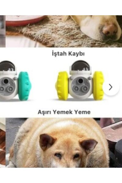 Sevimli Petstore Yeni Nesil Kedi ve Köpek İnteraktif Mama Dağıtıcı Ödül Maması Atıcı Robot