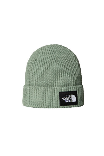 THE NORTH FACE Salty Lined Beanie Unisex Outdoor Beresi Nf0A8Cgzbq11 Green