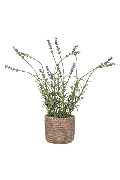 SHOPIENS Ghiveci decorativ ceramic Shopiens® cu aspect de răchită și flori ar...