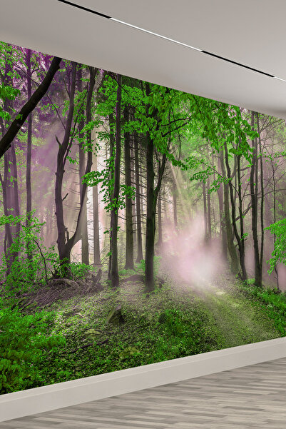 dreamwall Doğa ve Orman Yolu Sis Efekti Tekstil Duvar Kağıdı