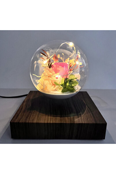 Generic Real floating flowers with light. Dark brown base.