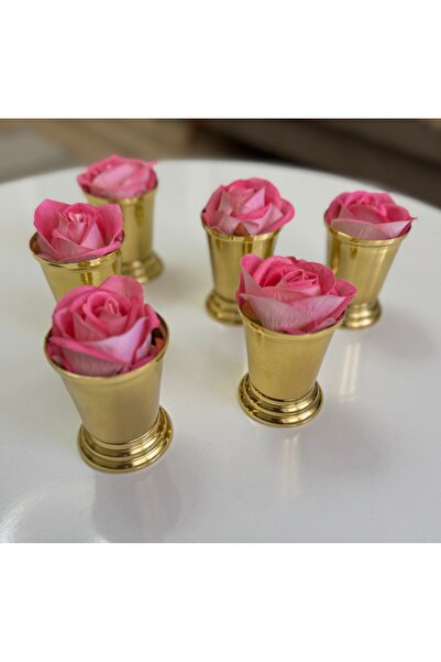 SEVA ÇELİK DEKORATİF GOLD KAPLAMA GÜL KOVASI 6 ADET FUŞYA RENK GÜLLER DAHİLDİR