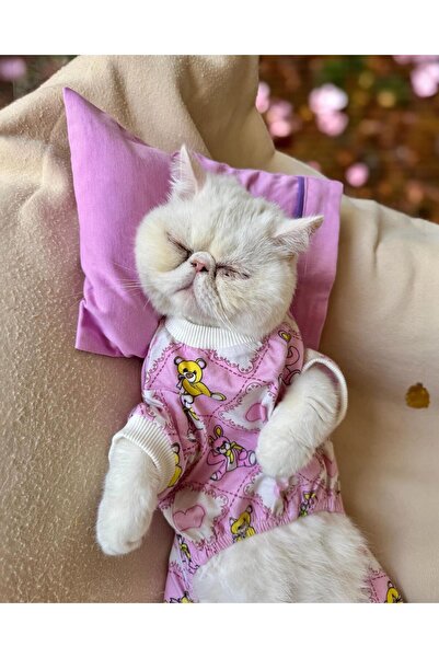 Kemique Teddy Toad Penye Kedi Tulum Pijama
