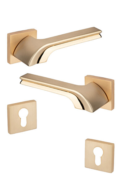 LOZAN زوج مقبض باب يد مفصول ثقيل لون ذهبي