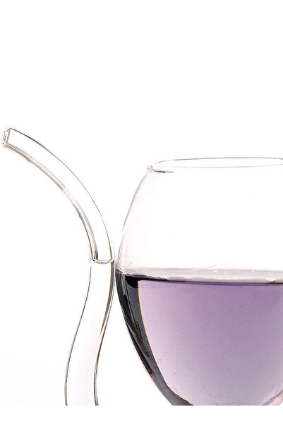 ELEGANT HOME 2-Piece Glass Cup Set with Built-in Straw