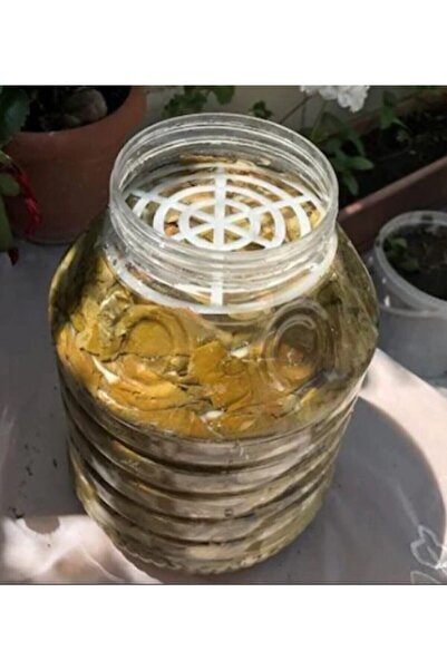 ÇELİKONLİNE Canister Pet Jar Separator 20 Pieces Pickled Olive Cheese Separator