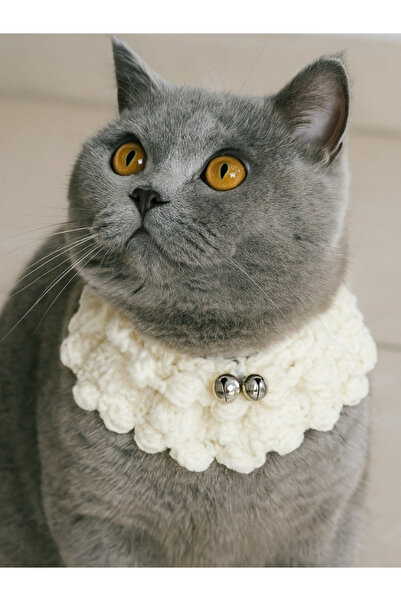 Gülşahın Tasarım Atölyesi Kedi tasması/ 1 paket yaş mama ile gönderilir