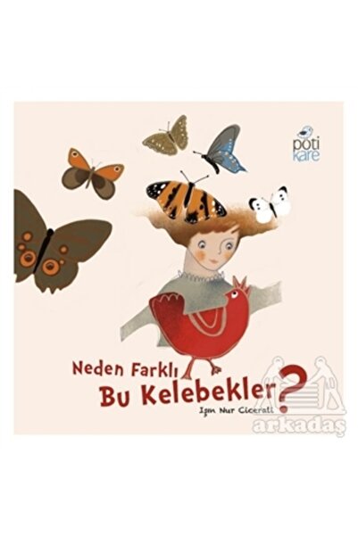 Pötikare Yayıncılık Why Are These Butterflies Different?