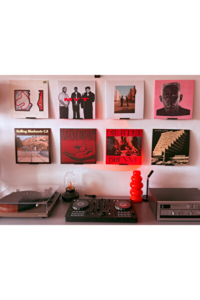 SORA DESIGN Duvar Tipi Plak Askısı Plak Sergileme Tutucu Aparat 1 Adet