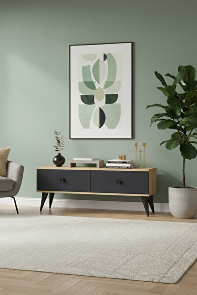 CENEYRA TSA1202DA - MONA TV STAND SAFİRMEŞE-ANTRASİT 120CM