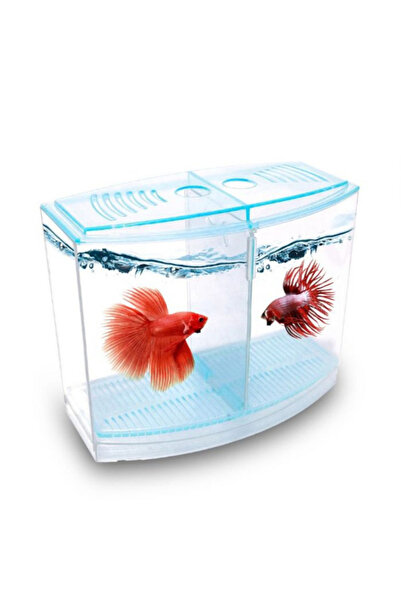 MS AKVARYUM CANLILARI ÜRETİM VE TEDARİK TESİSİ BETA AKVARYUMU TANKI 9X19X14CM 1.8 LT