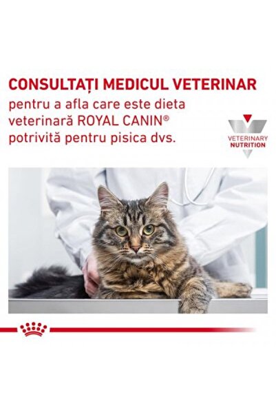 Royal Canin Dry food for cats, Gastrointestinal Fibre Response, 4 kg
