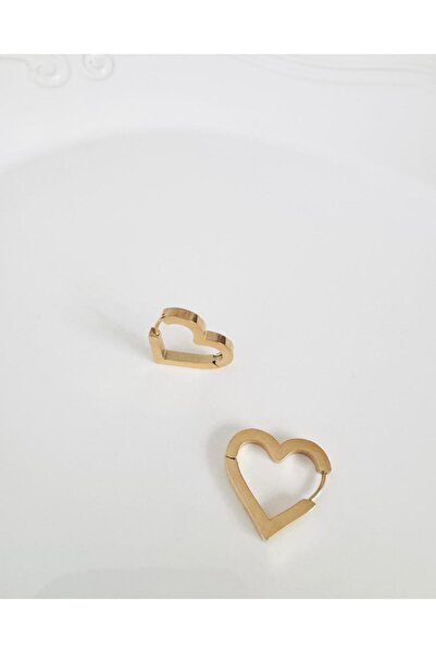 DEVİ fashion Steel Heart Earrings 2 cm