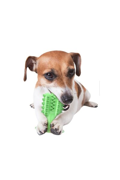 Doty Jucărie de mestecat din silicon pentru câini - Cactus Friend cu ventuză, verde, 13x9 cm