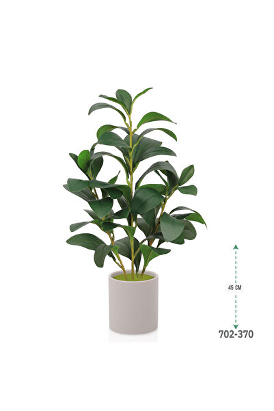 co arma Lemon seedling in a plastic container, simulating natural seedlings, 45 cm high