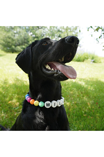 Pawsim İsimli Kedi ve Köpek Tasması , 3D kişiye özel çok renkli Kedi ve Köpek tasması , Kişiye özel tasma