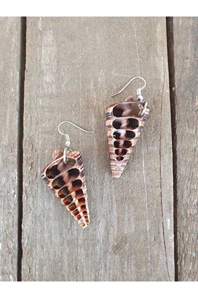 denizdengelen Perforated Seashell Earrings (Telescopium Model)