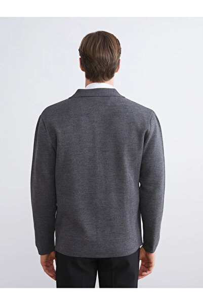 LC Waikiki SOUTHBLUEAntrasit Erkek Triko Hırka