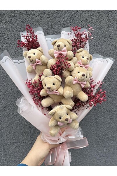Diana Accessory Sevgiliye En Özel Hediye Sevimli Peluş Ayıcık Buketi 6ADET