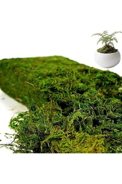 Generic Fake Moss 7OZ Faux Moss for Plants Indoor Fake Green Moss for Potted Plants,For Landscape Premium Fa