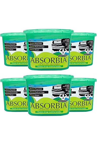 Generic مزيل رطوبة ورائحة أبسوربيا بالفحم النشط - 300 غرام (عبوة من 6 قطع) ام...
