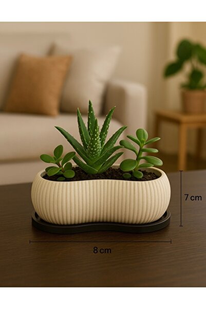 Dekor Dekoratif Oval Mini Saksı – 15x8x7 cm | Sert Plastik, Masaüstü Çiçeklik, Sukulent & Bonsai Saksısı