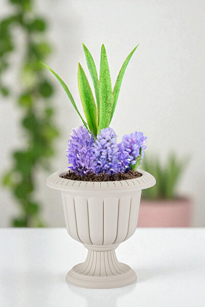 TEMMUZ HOME 1 Adet 1.5 Litre Nergis Saksı 19cm Ayaklı Plastik Deliksiz Çiçek ...