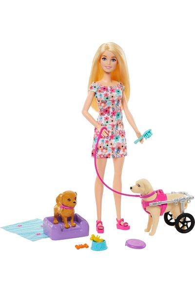 Barbie ve Engelli Köpeği Oyun Seti HTK37
