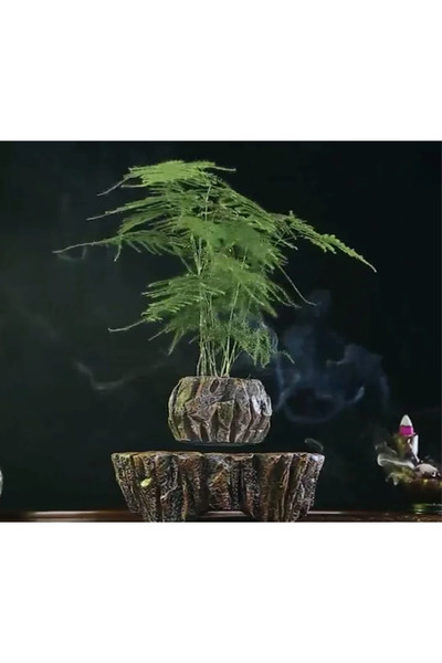Generic Floating Wooden Design Plant Pot