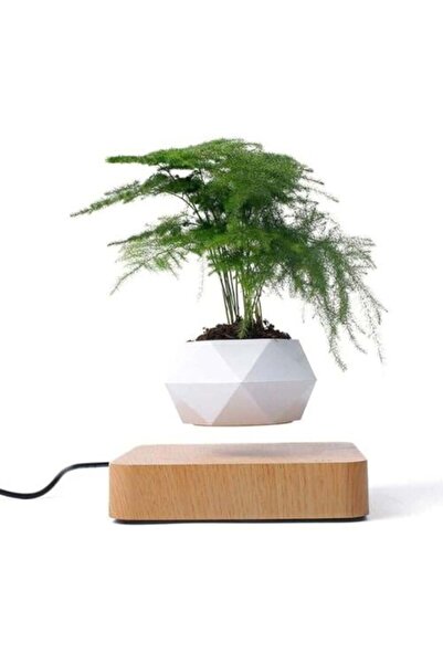 genernic Floating Plant Pot Light Brown Smart Masterpiece