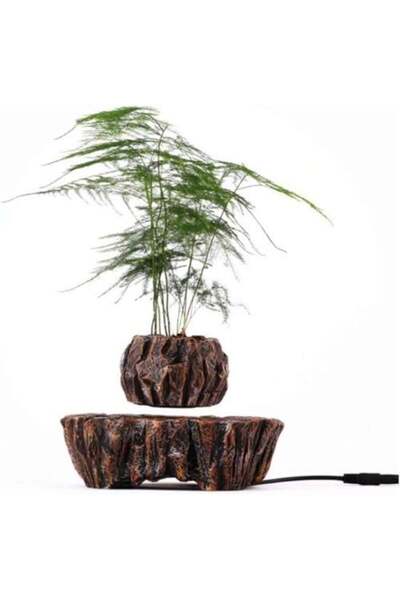Generic Floating Wooden Design Plant Pot