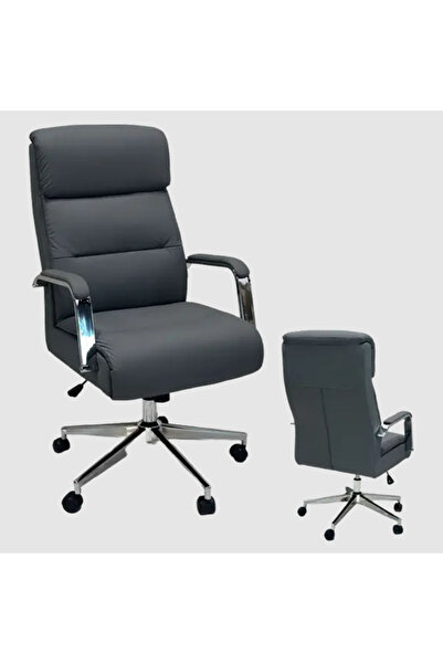 Tasamem Dafia swivel leather office chair