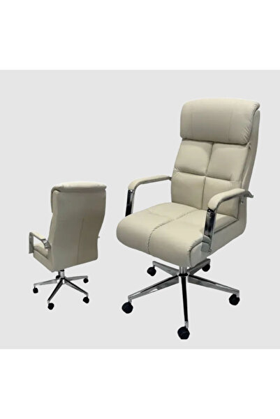Tasamem Dafia swivel leather office chair