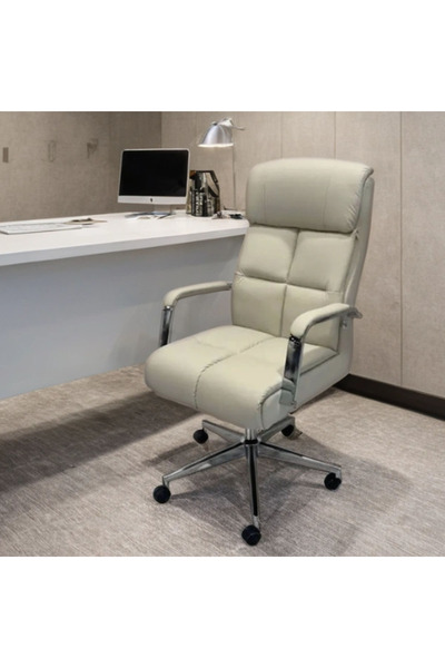 Tasamem Dafia swivel leather office chair